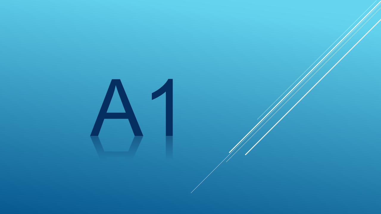 LEVEL A1